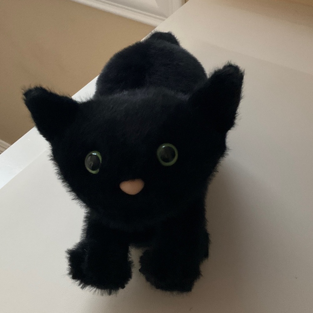 Jellycat Spookipaws Midnight Black Plush Cat